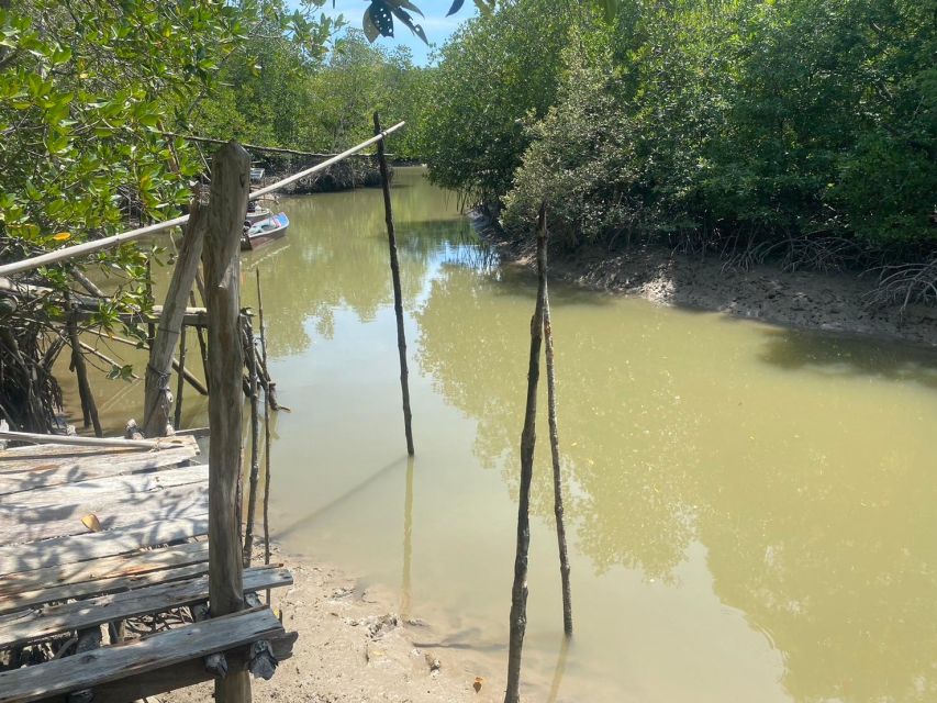 Ko Lanta: Mangrove Kayaking, Ko Talabeng, & Skull Island - What to bring (and what will annoy you if you forget it)