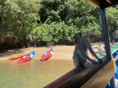 Ko Lanta: Mangrove Kayaking, Ko Talabeng, & Skull Island - Skull Island climbing (including the abseil/downclimb): the real fitness test