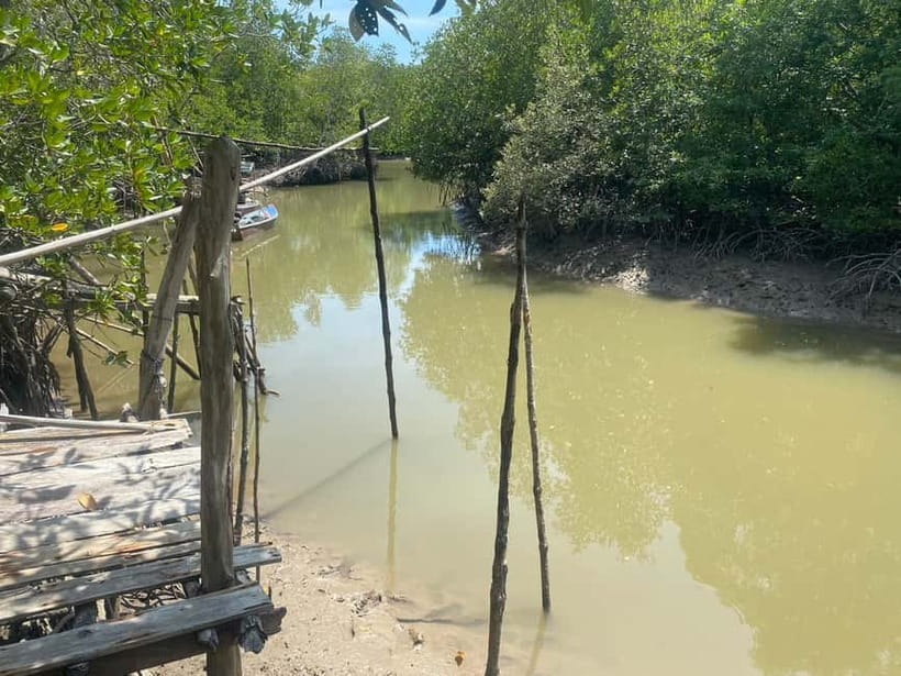 Ko Lanta: Mangrove Kayaking, Ko Talabeng, & Skull Island - Kayaking after lunch: pristine beaches and short swim stops