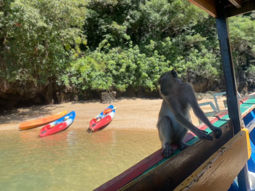 Ko Lanta: Mangrove Kayaking, Ko Talabeng, & Skull Island - Skull Island climbing (including the abseil/downclimb): the real fitness test