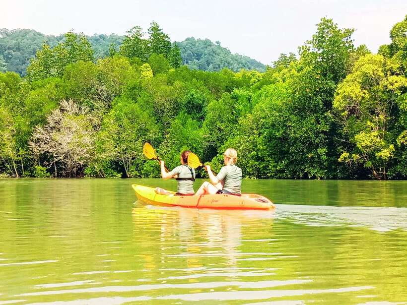 Ko Lanta: Mangrove Kayaking with Lunch and Hotel Transfer - Tung Yee Peng Mangroves: Quiet Water, Real Wildlife