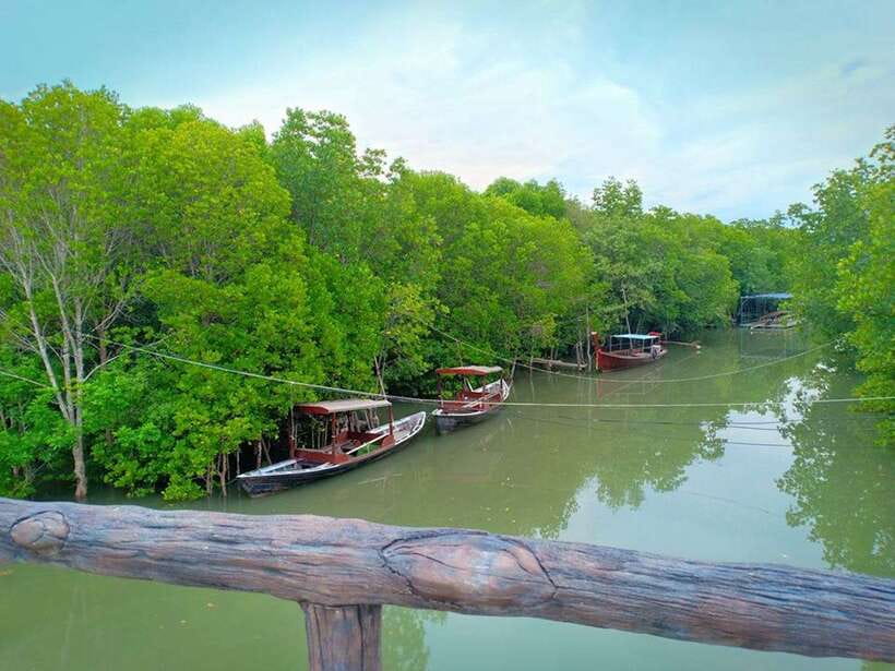 Ko Lanta: Mangrove Kayaking with Lunch and Hotel Transfer - Price and What You Actually Get for $27 (Plus the 20 Bath Entrance Fee)