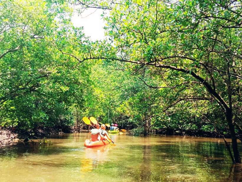 Ko Lanta: Mangrove Kayaking with Lunch and Hotel Transfer - Your 3-Hour Schedule: Morning or Afternoon Pickup