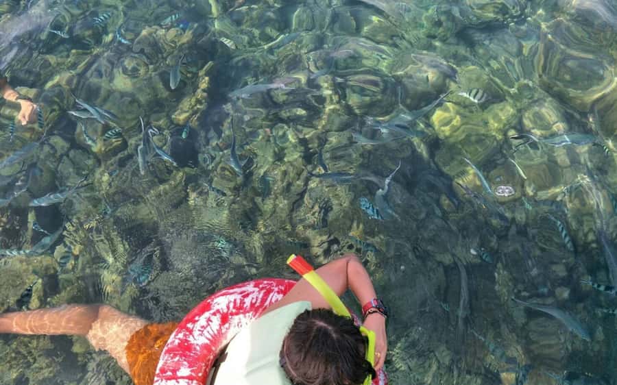 Koh Samui: Snorkeling and Kayaking by Speedboat - Logistics that matter: timing, weather, and what to pack
