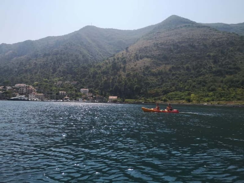 Kotor: Guided Kotor Bay Kayaking Tour - Key things I’d circle before you go