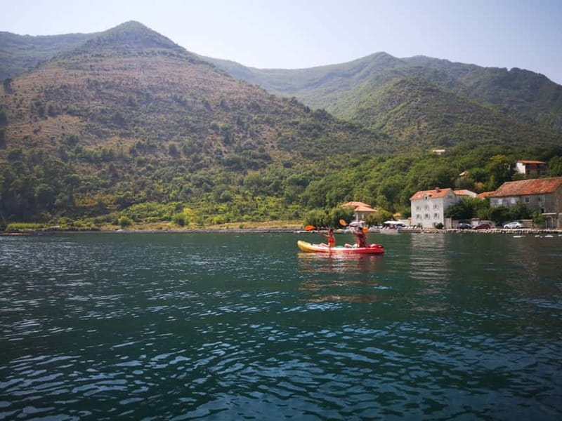 Kotor: Guided Kotor Bay Kayaking Tour - Should you book Kotor Bay Kayaking Tour?