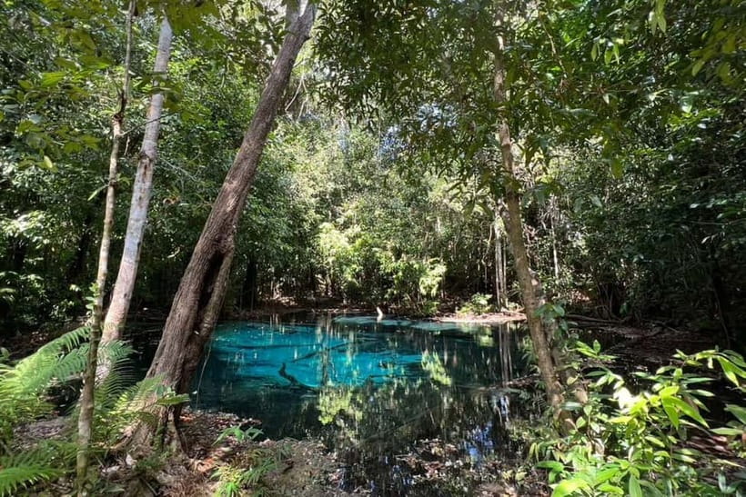Krabi: Emerald Pool, Hot Springs, and Kayaking Tour - Kayaking on a Crystal-Clear Freshwater Stream: Smooth for Beginners, Watch the Water