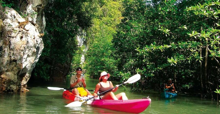 Krabi: Guided Kayaking Tour at Ao Thalane - Pickup options: where you start and how that affects your day