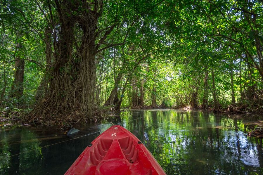 Krabi: Half-Day Blue Lagoon Kayaking at Klong Srakaew & ATV - Price and value: is $89 worth it?