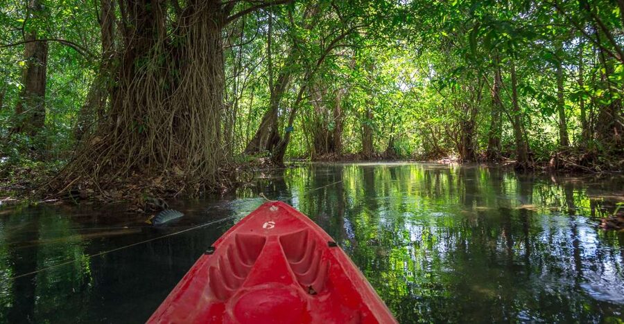 Krabi: Half-Day Blue Lagoon Kayaking at Klong Srakaew & ATV - Sa Kongsi Mountain and the limestone cave look: the movie-meets-nature stop