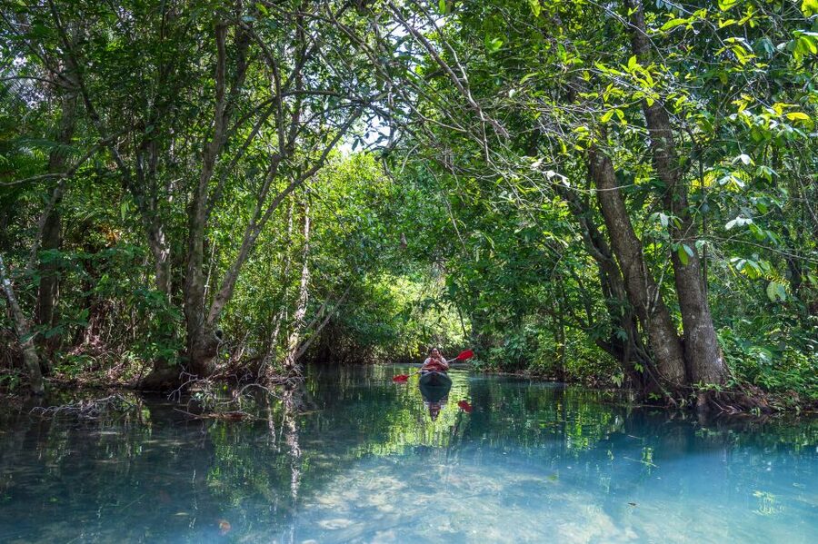 Krabi: Half-Day Blue Lagoon Kayaking at Klong Srakaew & ATV - Lunch, fruits, and how the day stays on track