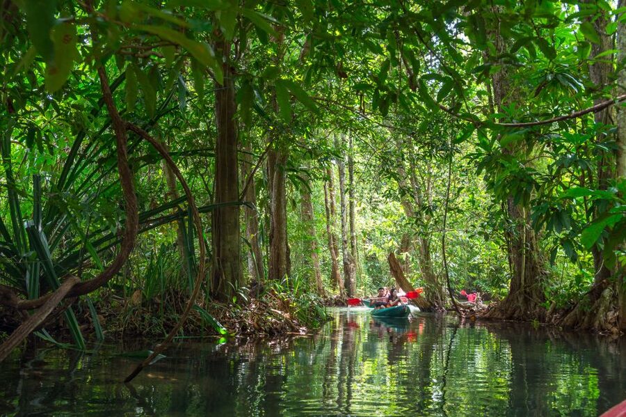 Krabi: Half-Day Blue Lagoon Kayaking at Klong Srakaew & ATV - Guides and group size: what makes it feel friendly instead of chaotic