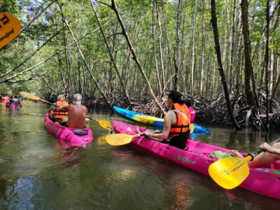 Krabi: Half-day Kayak at Ao Thalane (Group of 10 maximum) - Tide level matters more than you think