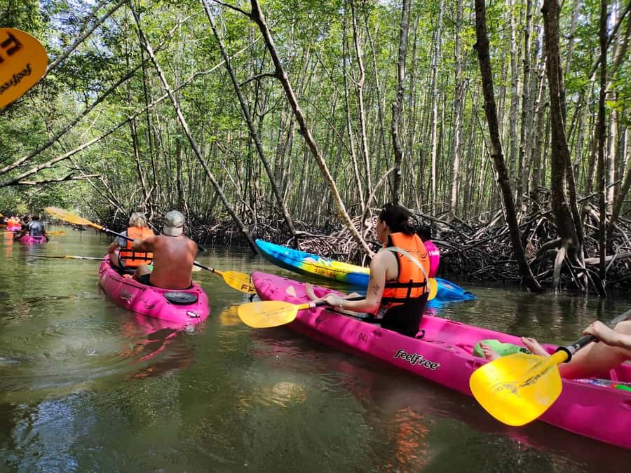 Krabi: Half-day Kayak at Ao Thalane (Group of 10 maximum) - Tide level matters more than you think