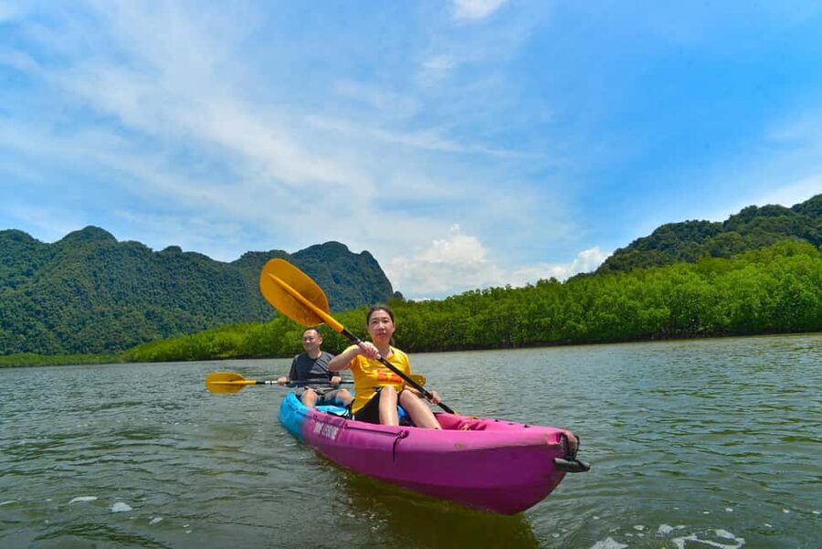 Krabi: Hidden Mangrove Kayaking Tour with Optional Extras - Price and Value: About $33 for a Guided Mangrove Day