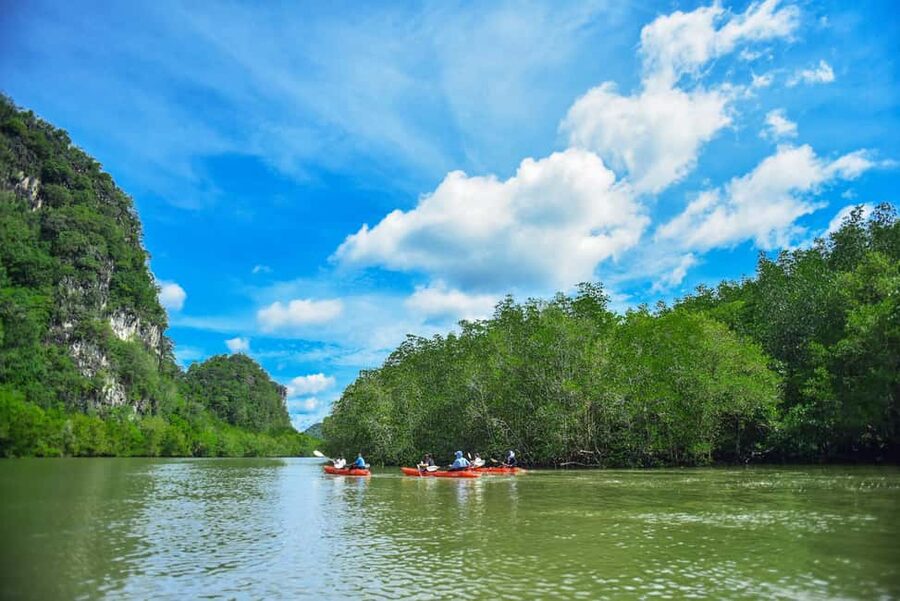 Krabi: Hidden Mangrove Kayaking Tour with Optional Extras - Pickup and Drop-Off: Convenient for Krabi Town and Ao Nang