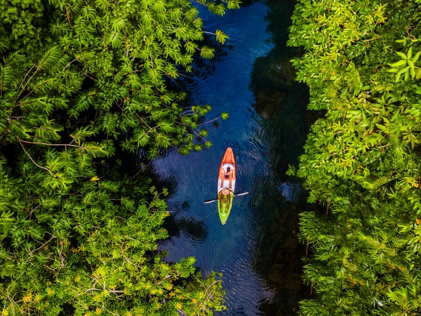 Krabi: Kayak Adventure through Ao Thalane Mangrove Forest - Eco-Friendly Adventure in Practice: What to Respect