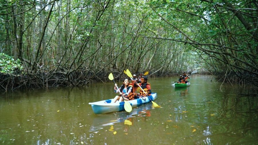 Krabi: Kayak in Mangrove Forest with Meal Aonang - What you actually see: wildlife, mangrove tunnels, and photo moments
