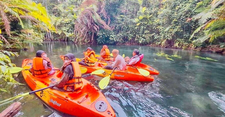 Krabi kayaking and swimming clongrood Tour - Key highlights worth your time