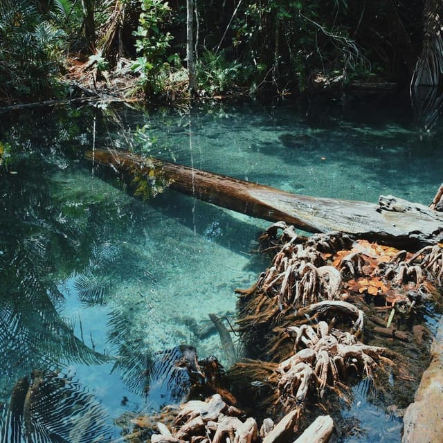 Krabi kayaking and swimming clongrood Tour - Ao Nang pickup and the fast path to clean water