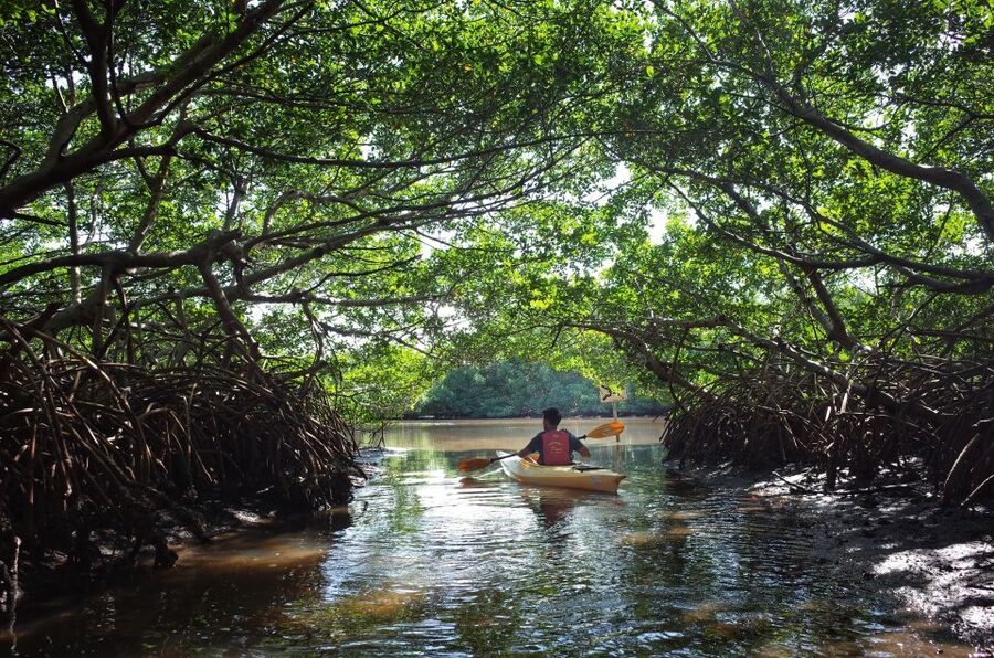 Krabi kayaking Ao thalane - The kayaking section: Ao Tha Len channels and mangrove tunnels