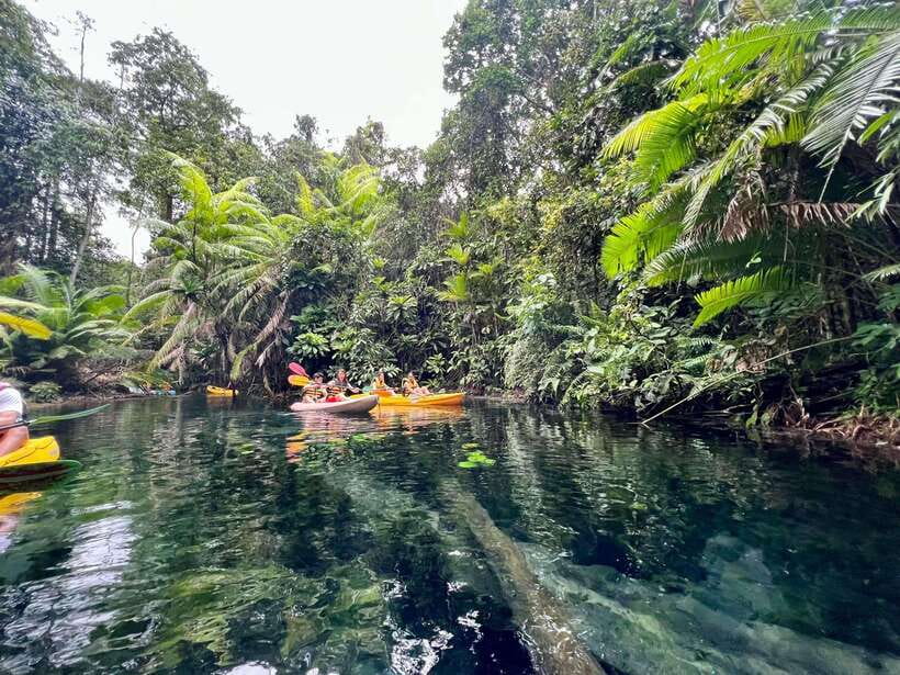 Krabi: Klong Root (Crystal lake) Kayaking tour - Key highlights worth caring about