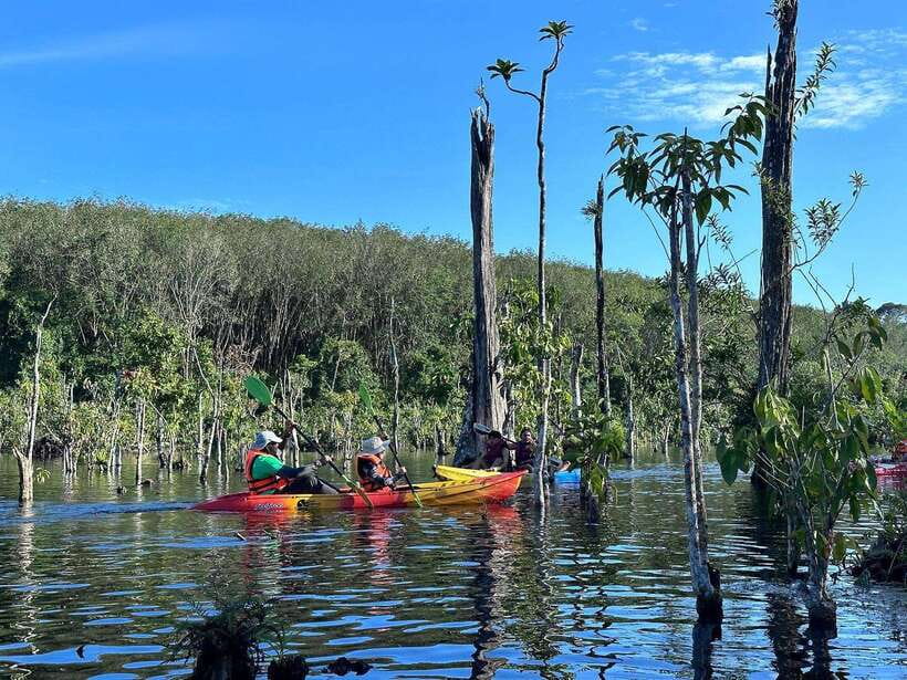 Krabi: Klong Root (Crystal lake) Kayaking tour - Klong Root Crystal Lake: why this kayak outing feels special