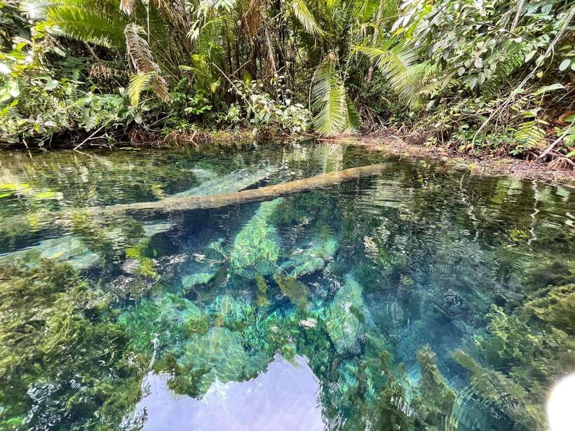 Krabi: Klong Root (Crystal lake) Kayaking tour - Getting to Klong Root: what the ride adds to your day