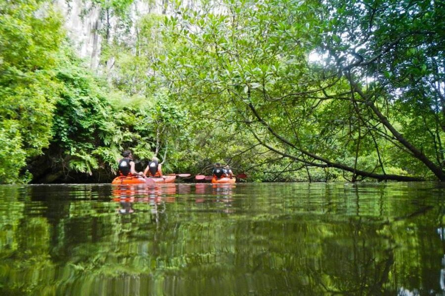 Krabi: Private Sea Kayaking in Ao Thalane and Hong Island - Key things to know before you paddle