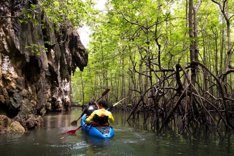 Krabi: Private Sea Kayaking in Ao Thalane and Hong Island - Hong Island option: limestone towers and Peley Beach’s powder sand