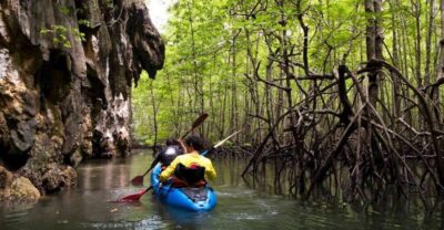 Krabi: Private Sea Kayaking in Ao Thalane and Hong Island - Wildlife spotting: kingfishers, little herons, and macaques