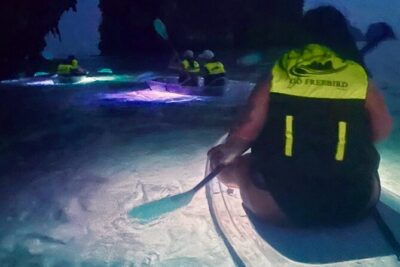 Krabi Stand-Up Paddleboard Illuminated Night Tour - Freebird Paddle Co. and the Railay timing that can trip you up