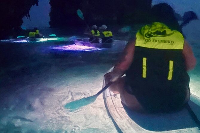 Krabi Stand-Up Paddleboard Illuminated Night Tour - Freebird Paddle Co. and the Railay timing that can trip you up