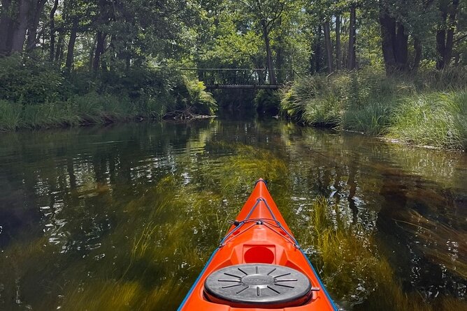 Kristiansand: Kayaking River Tour Adventure - Price and Value: Is $160.37 Worth It?
