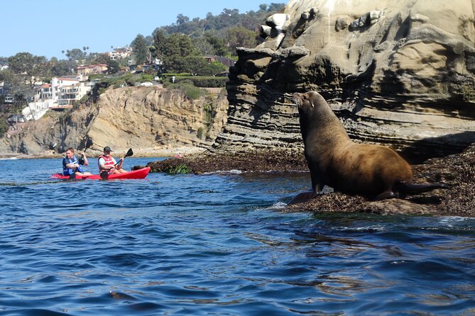La Jolla Kayak and Snorkel Tour - Sea Caves and Rocky Reefs: What You Can Count On (and What You Can’t)