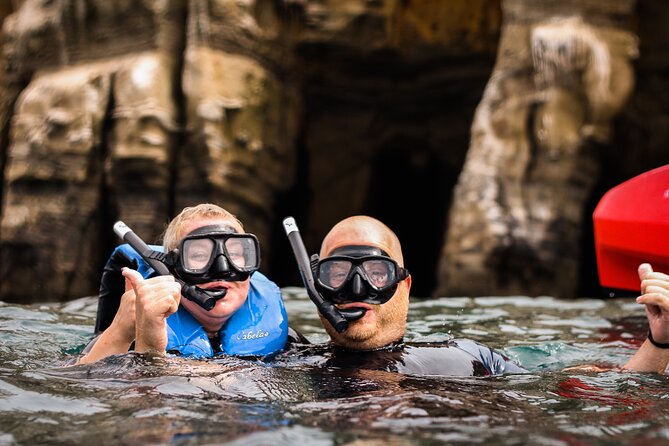 La Jolla Kayak and Snorkel Tour - Group Size, Guides, and the Real-World Flow on the Water