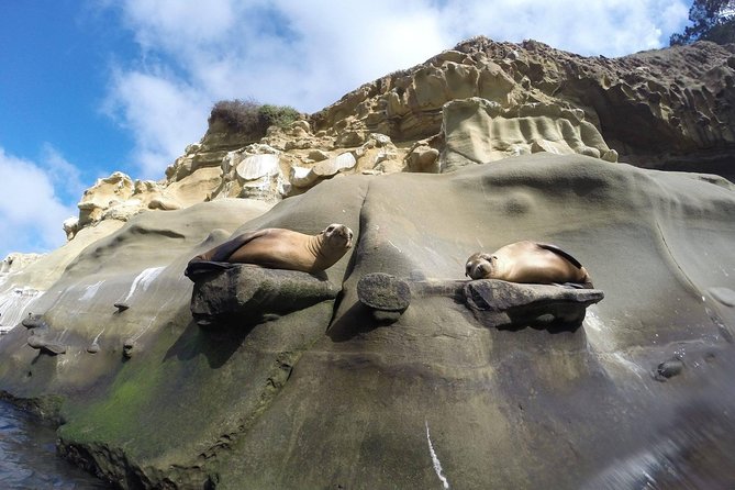 La Jolla Sea Caves Kayak Tour For Two (Tandem Kayak) - La Jolla Sea Caves route: rock formations, birds, seals, and more