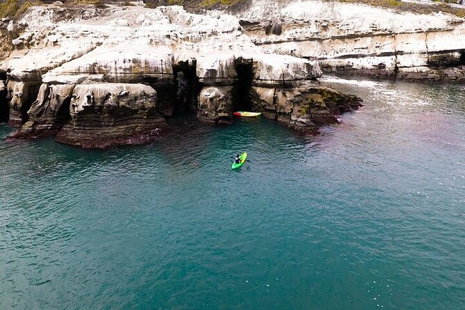 La Jolla Sea Caves Kayak Tour (Single Kayak) - La Jolla Sea Caves by Single Kayak: who this is really for