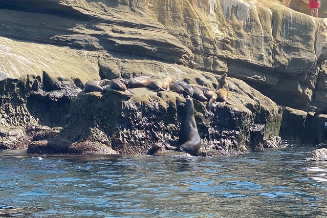 La Jolla Sea Caves Kayak Tour (Single Kayak) - What’s included: PFD, helmet, kayak—and what you still need