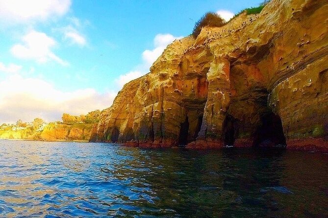 La Jolla Sea Caves Kayak Tour (Single Kayak) - Stop 1: La Jolla Cove and the marine reserve feeling