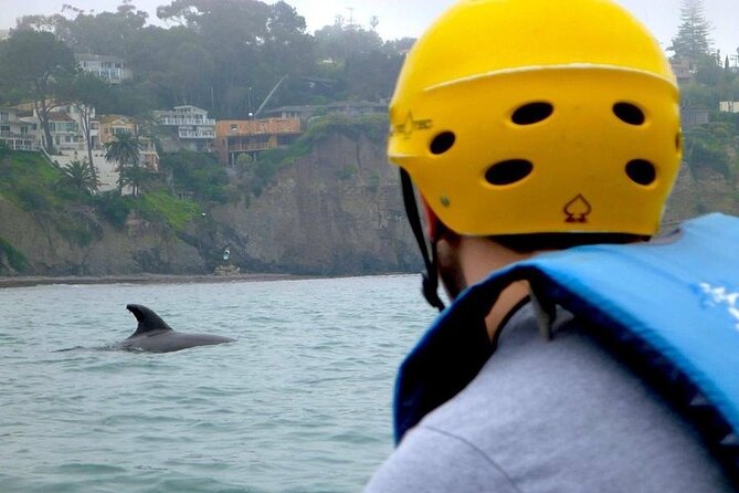 La Jolla Sea Caves Kayak Tour (Single Kayak) - Stop 2: La Jolla Underwater Park and why the route is more than scenery