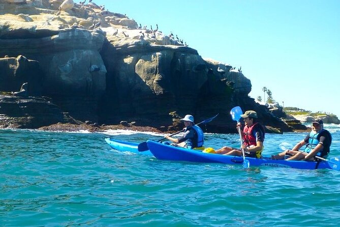 La Jolla Sea Caves Kayak Tour (Single Kayak) - Price and value: what $74 buys on the water