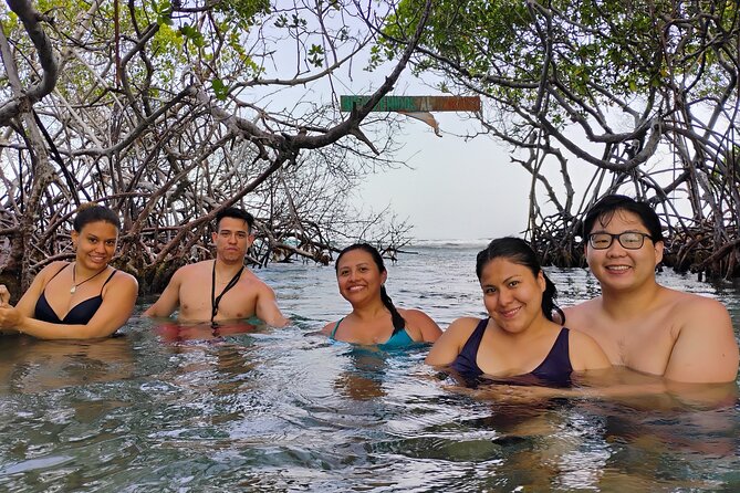 La Parguera Boat Charter with Captain: Kayak & Snorkel - Rabo de la Gata and the Calm-Water “Natural Pool” Feeling