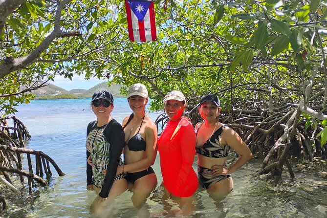 La Parguera Boat Charter with Captain: Kayak & Snorkel - Price and Value: Two Cays Plus Gear Plus Real Guidance
