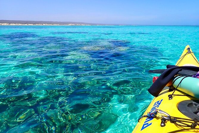 Lagoon Explorer - Ningaloo Reef Full-Day Kayaking and Snorkeling Adventure - Who this tour fits best