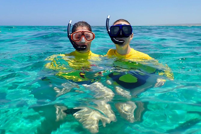Lagoon Explorer - Ningaloo Reef Full-Day Kayaking and Snorkeling Adventure - Wildlife moments: what to watch for during the paddle