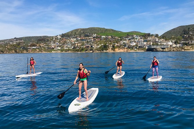 Laguna Beach Kayak Tour with Sea Lion Viewing - Kelp forests and reefs: the wildlife viewing that’s actually possible