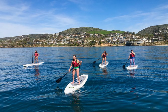 Laguna Beach Kayak Tour with Sea Lion Viewing - Who this tour fits best (and who might want a different plan)