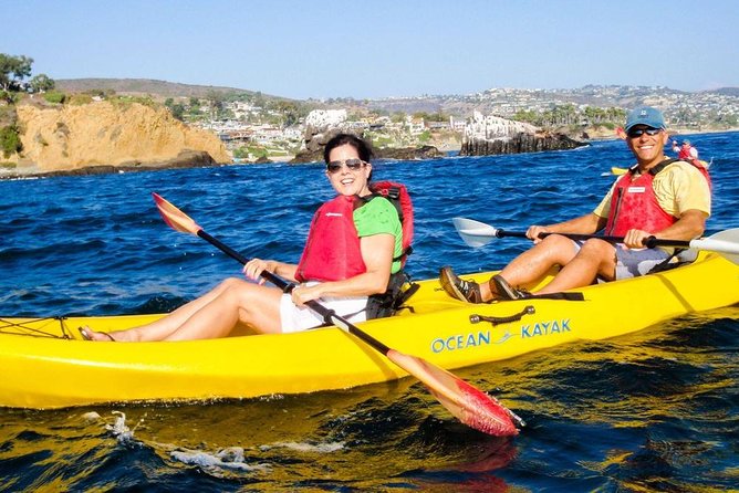 Laguna Beach Kayak Tour with Sea Lion Viewing - Heading out past the surf zone: what easy means on the water