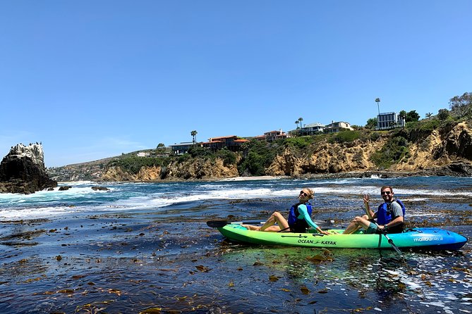 Laguna Beach Open Ocean Kayaking Tour with Sea Lion Sightings - Sea lions, dolphins, and more: what wildlife spotting is really like